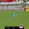 IMG_9372 (2)
